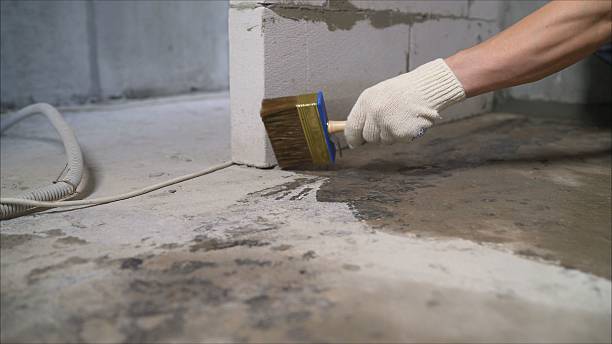 SJ Waterproofing Pros Emergency Waterproofing coverage map for Plainview, MN and surrounding area